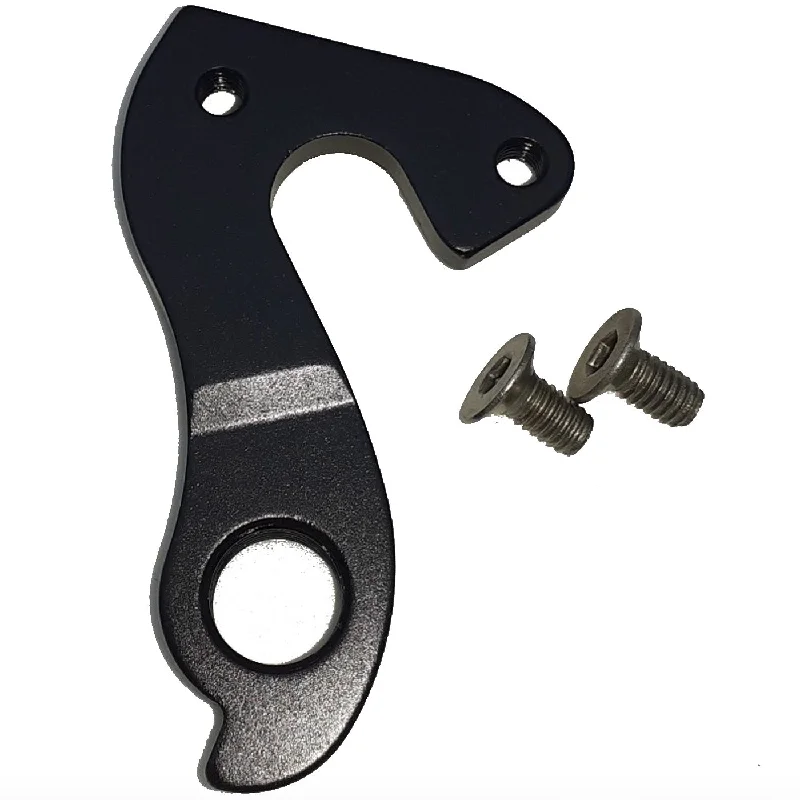 bicycle spoke vibration-Forcellino Pinarello quick release