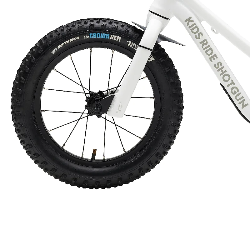 bicycle cleaner precision-Kids Ride Shotgun Dirt Hero 14" Wheel Set - Rear Disc Tires/Tubes Included Pair